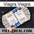 Viagra Sex kamagra1